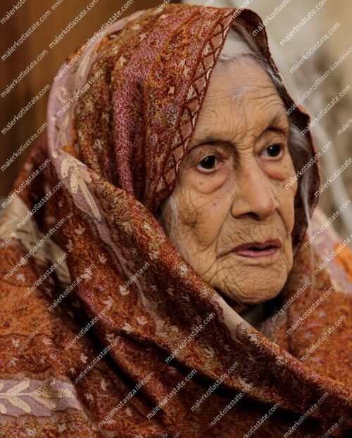 Munawwar-un-Nisa Begum